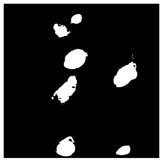 Method for rapidly propagating potato microtubers by using potato stem segments