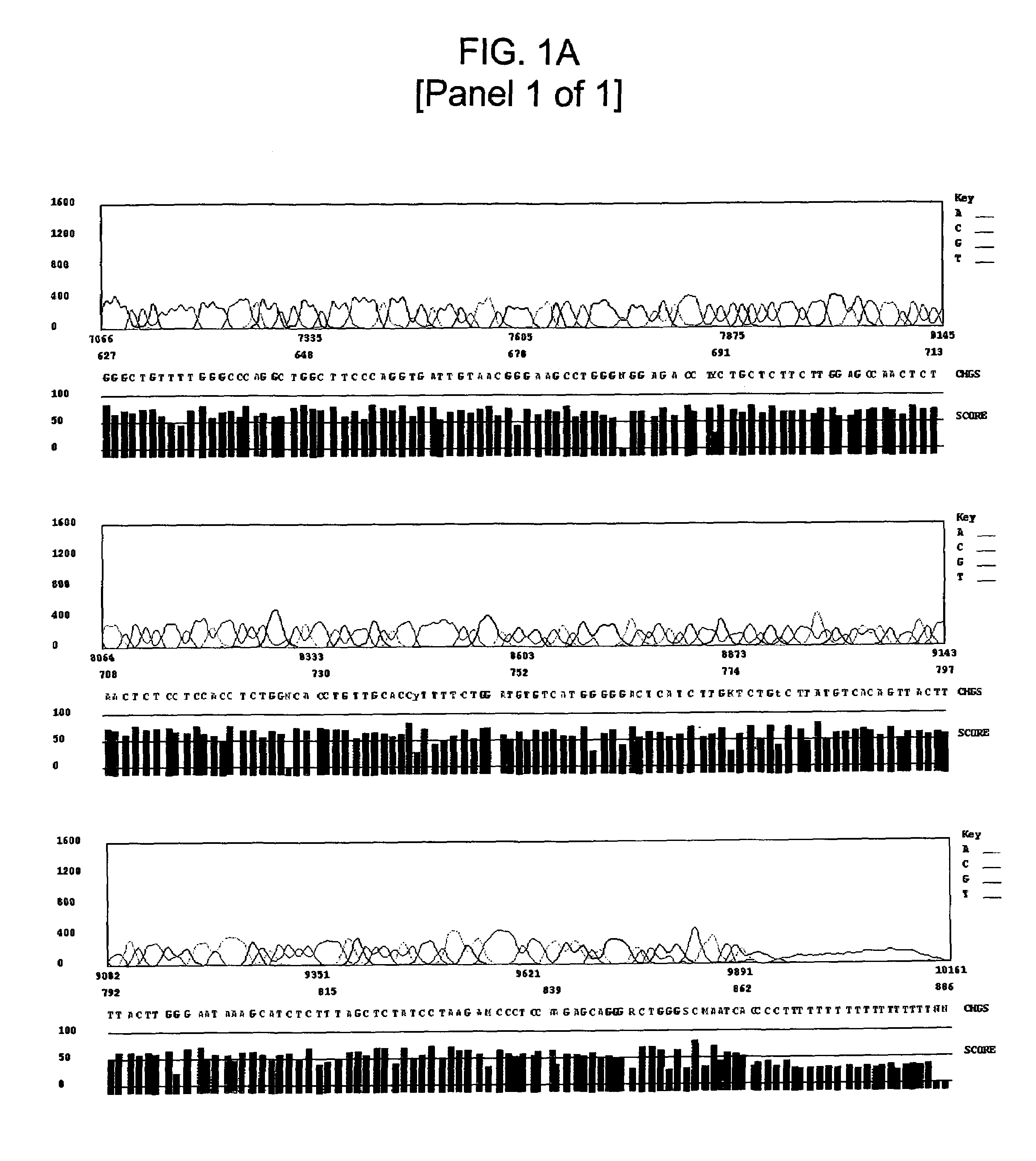 Methods for sequencing GC-rich and CCT repeat DNA templates