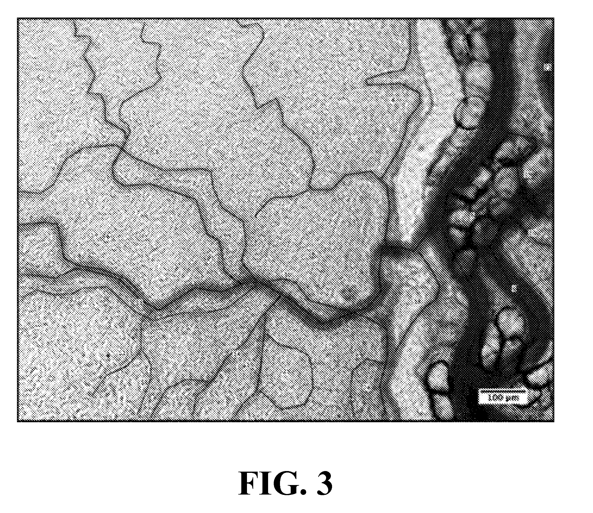 Topical Poloxamer Formulations for Enhancing Microvascular Flow: Compositions and Uses Thereof