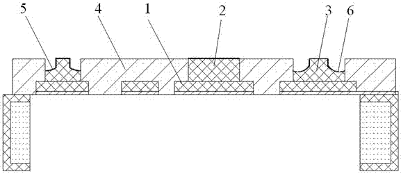 Pre-encapsulated multi-lateral side immerseable lead frame structure and manufacturing method of lead frame structure