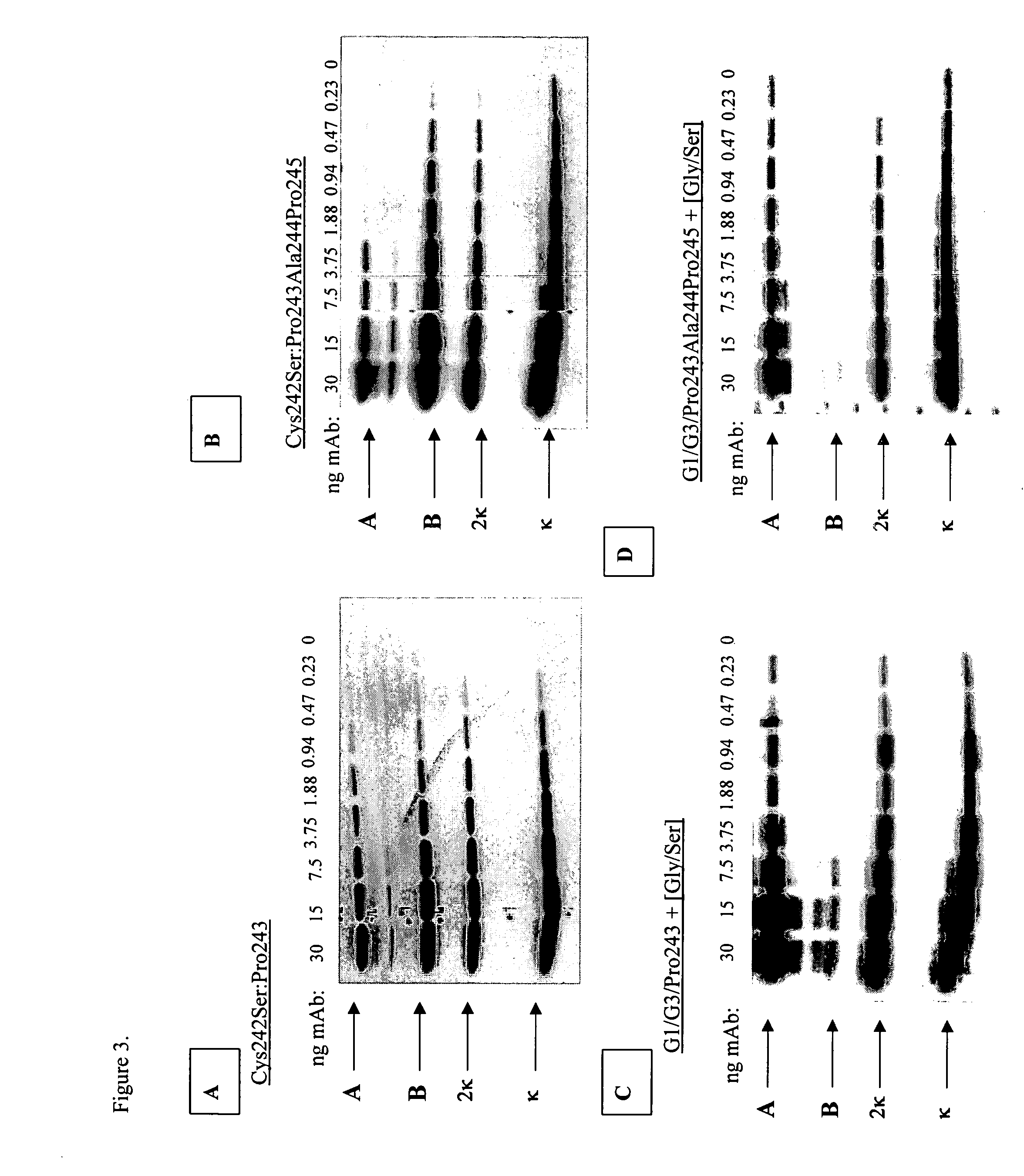 Purification and preferential synthesis of binding molecules