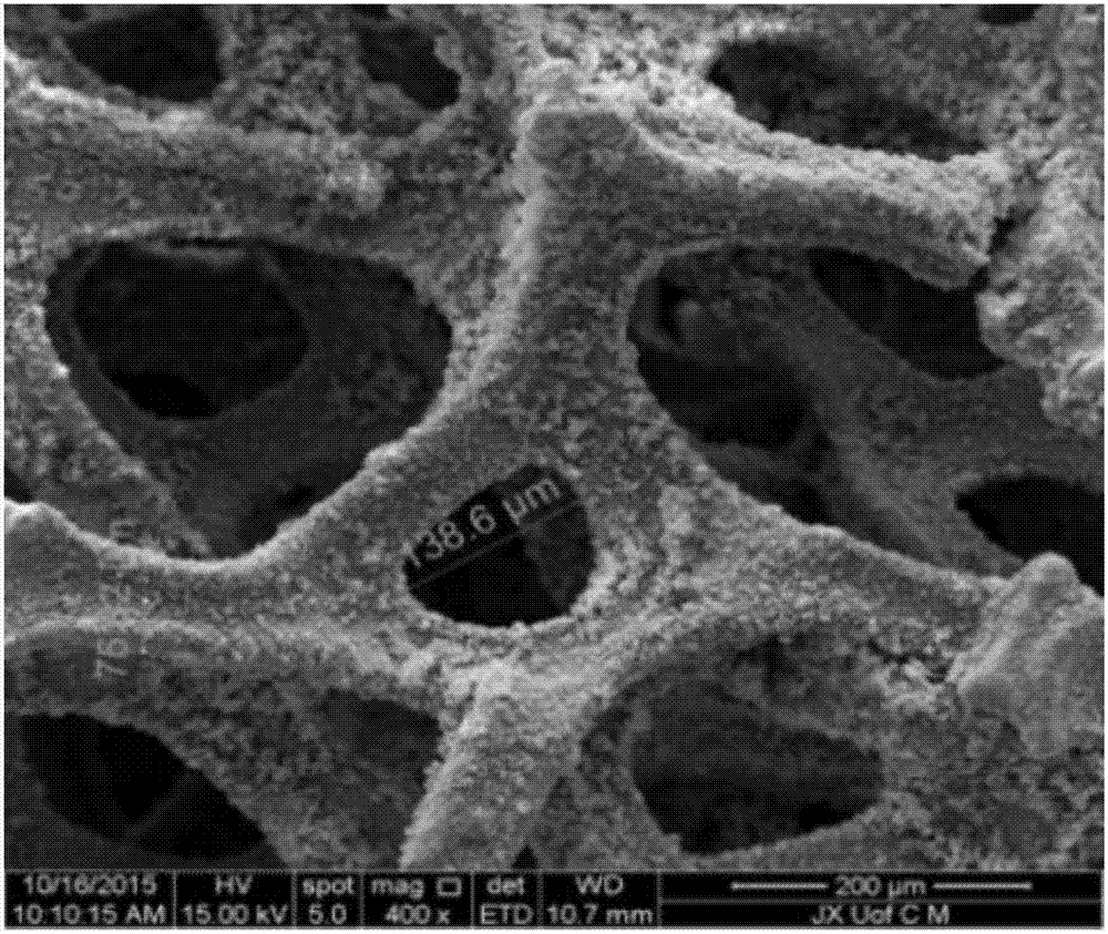 Octadecyl modified foam nickel adsorbent and application thereof