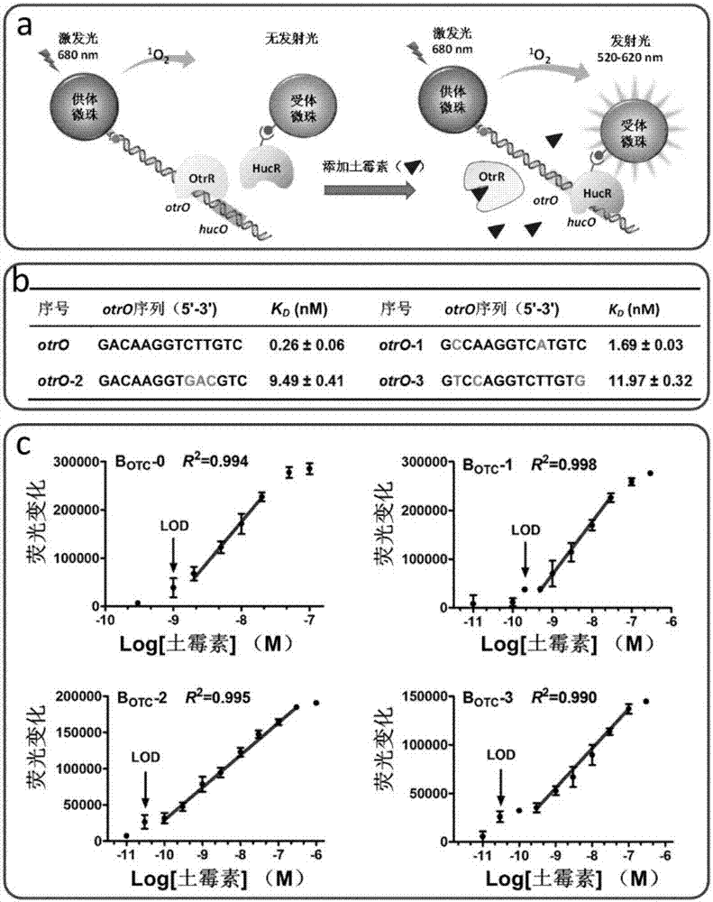 Biosensor containing allosteric transcription factor, and kit and application of same to micromolecular detection