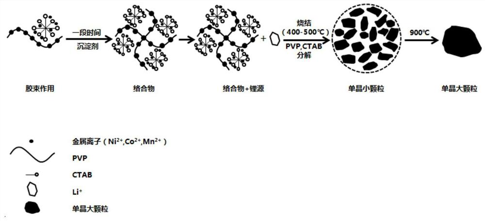 A kind of preparation method of single crystal large particle of ternary material