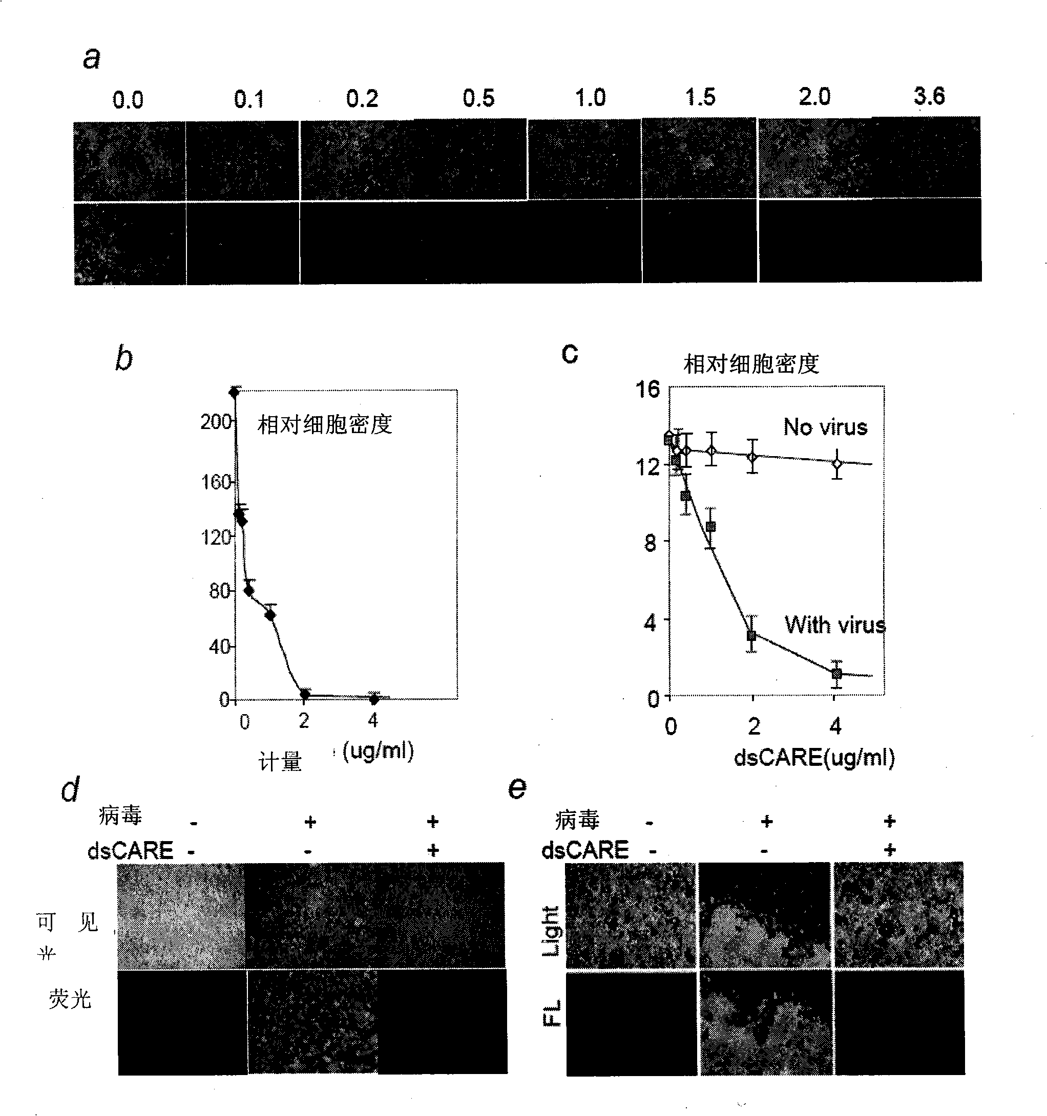 Specific double-strand RNA binding protein chimera and application thereof in virus infectious diseases