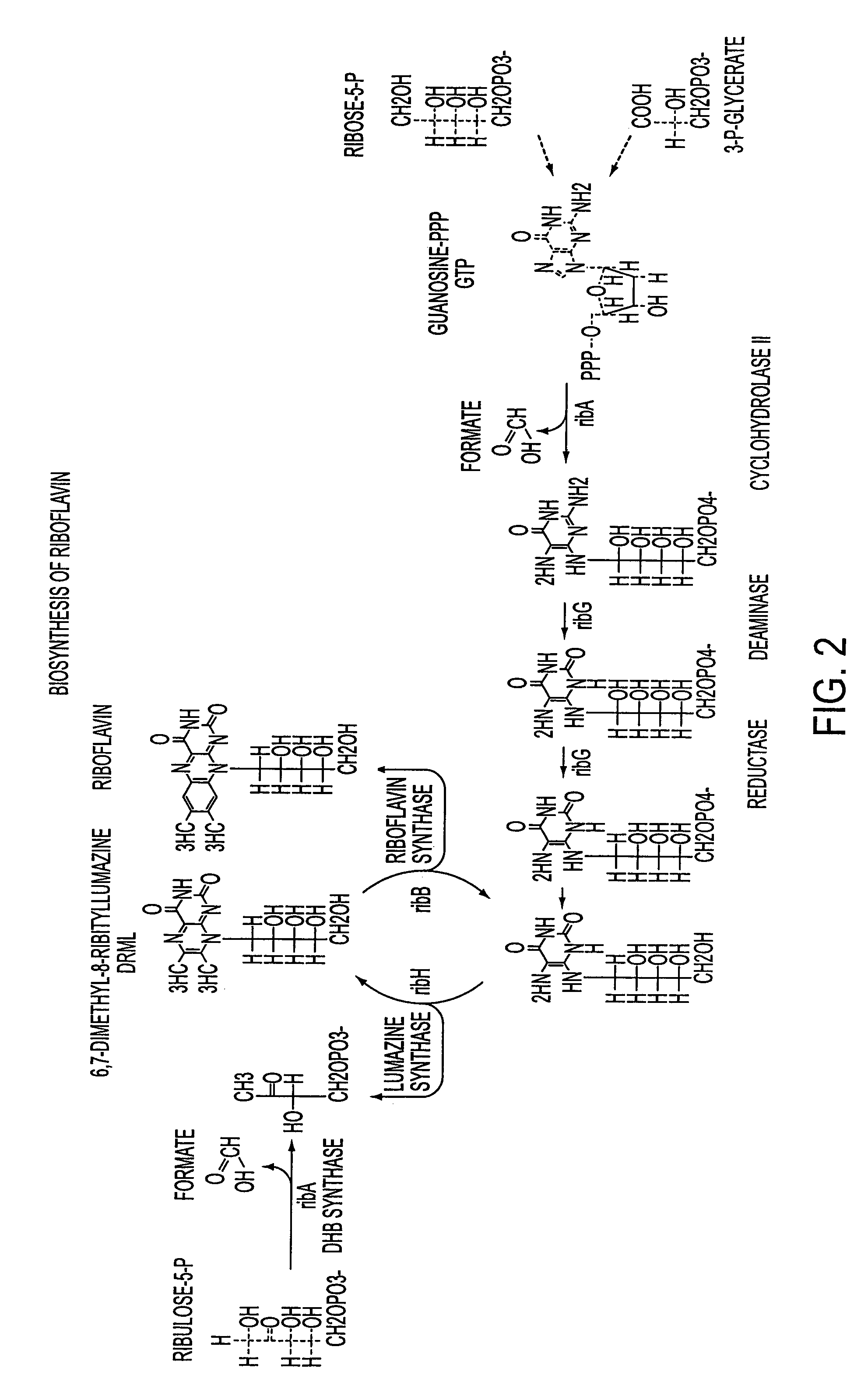 Process for producing a target fermentation product