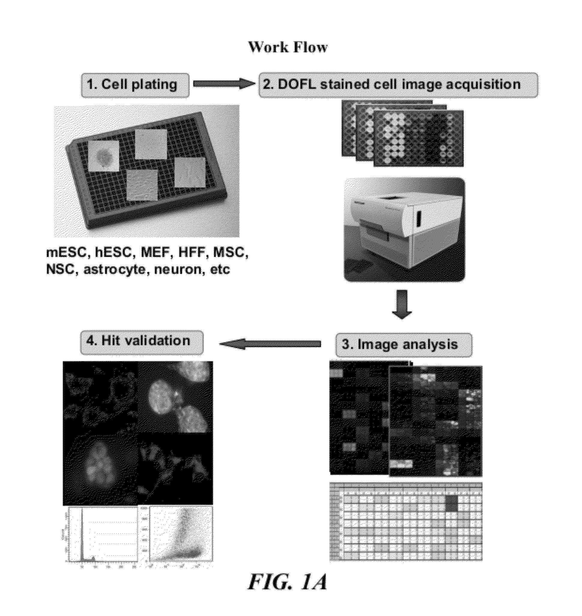 Methods for detecting embryonic stem cells, induced pluripotent stem cells, or cells undergoing reprogramming to produce induced pluripotent stem cells