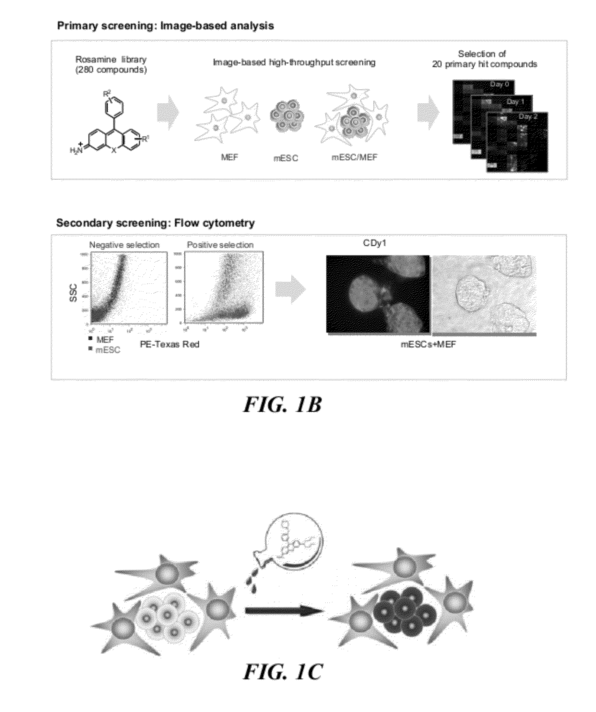 Methods for detecting embryonic stem cells, induced pluripotent stem cells, or cells undergoing reprogramming to produce induced pluripotent stem cells