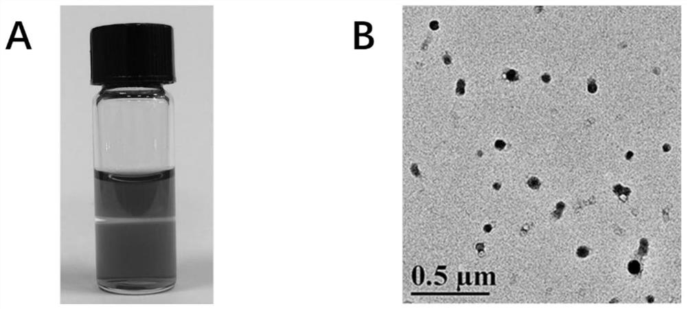 IR820 and atorvaquone carrier-free self-assembled nanoparticles and preparation method and application thereof