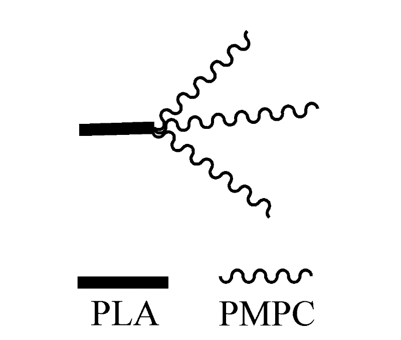 Single-arm hyperbranched star-shaped amphiphilic poly(lactic acid)-poly(2-methacryloxyethyl phosphorylcholine) block polymer and preparation method thereof