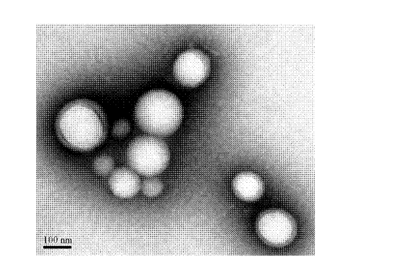 Single-arm hyperbranched star-shaped amphiphilic poly(lactic acid)-poly(2-methacryloxyethyl phosphorylcholine) block polymer and preparation method thereof