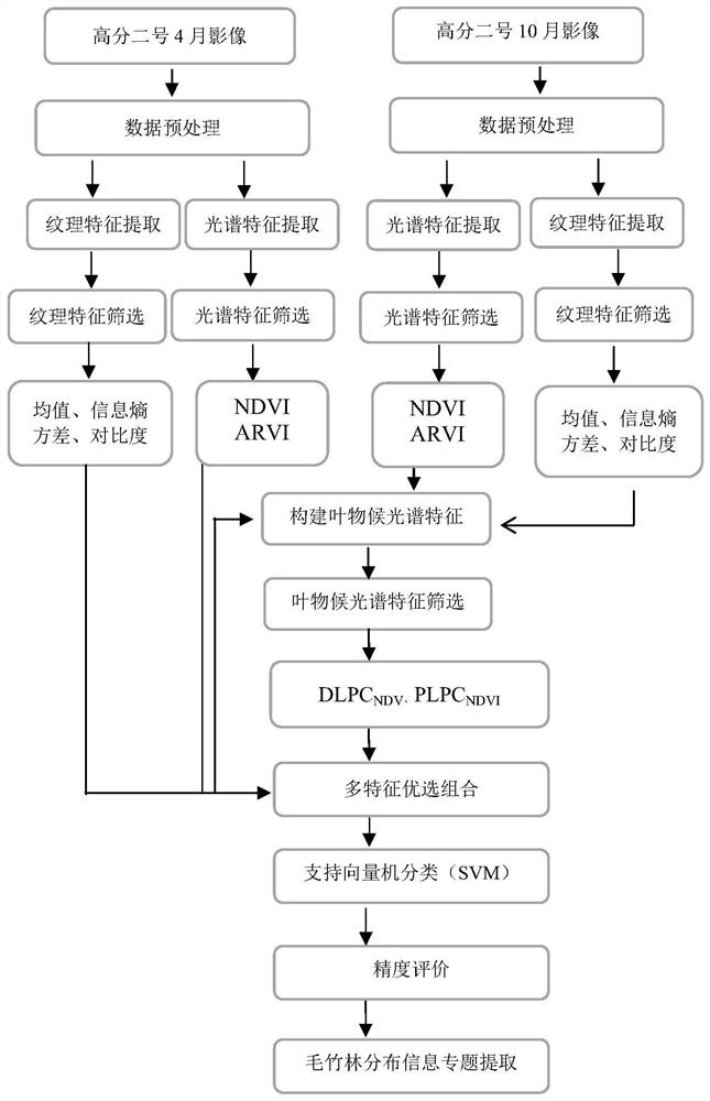 Moso bamboo forest distribution recognition method, device and equipment and storage medium