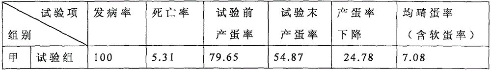 Traditional Chinese medicine composition for preventing and treating poultry proventriculitis and preparation method and application thereof