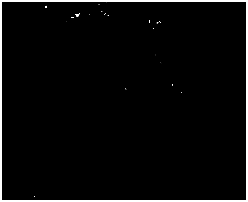 Abamectin B2 capsule suspension for preventing and treating root-knot nematode and preparation method of abamectin B2 capsule suspension