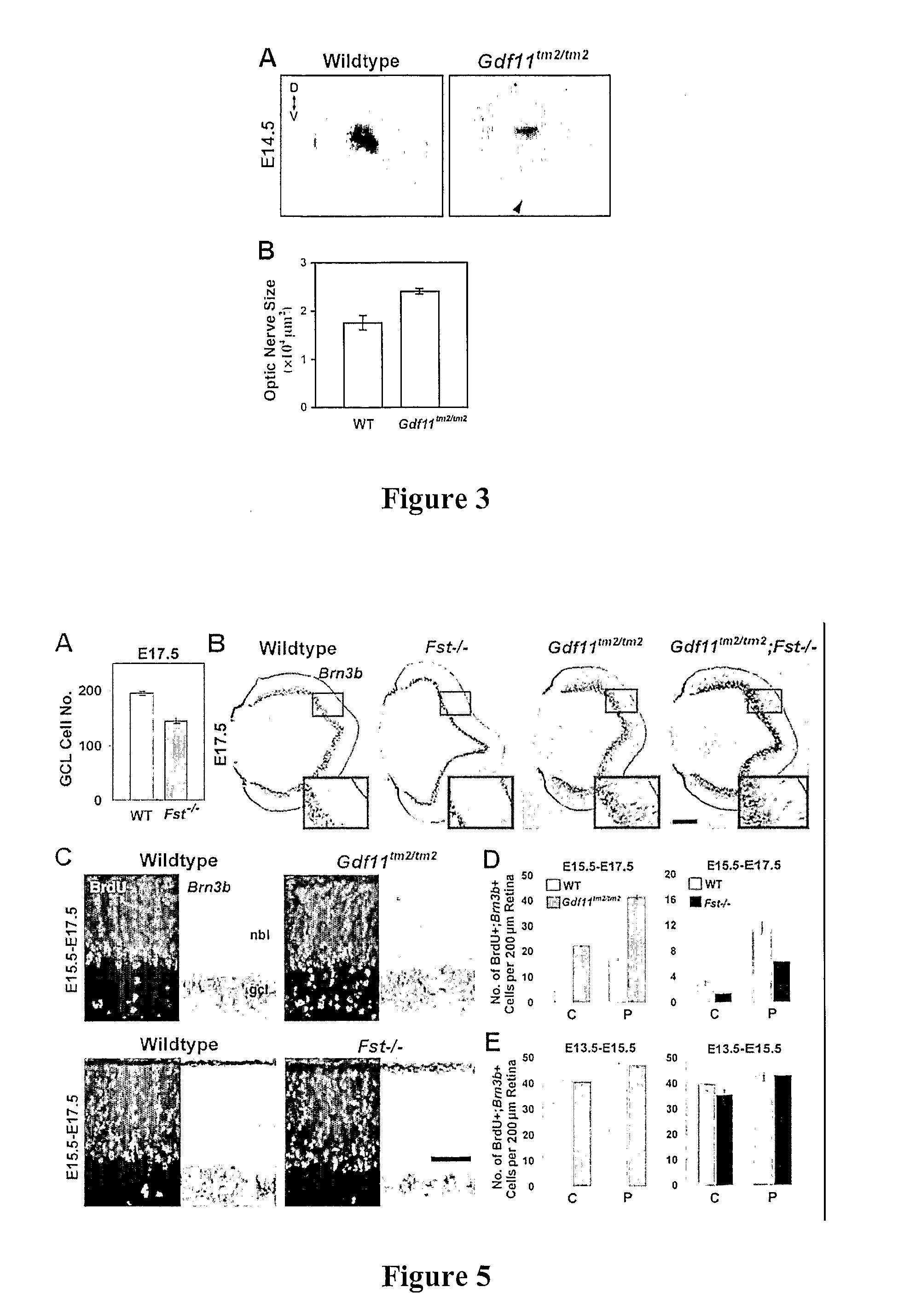 Compositions And Methods For Treatment of Neural Disorders Using Transforming Growth Factor-Beta Superfamily Proteins And Their Antagonists