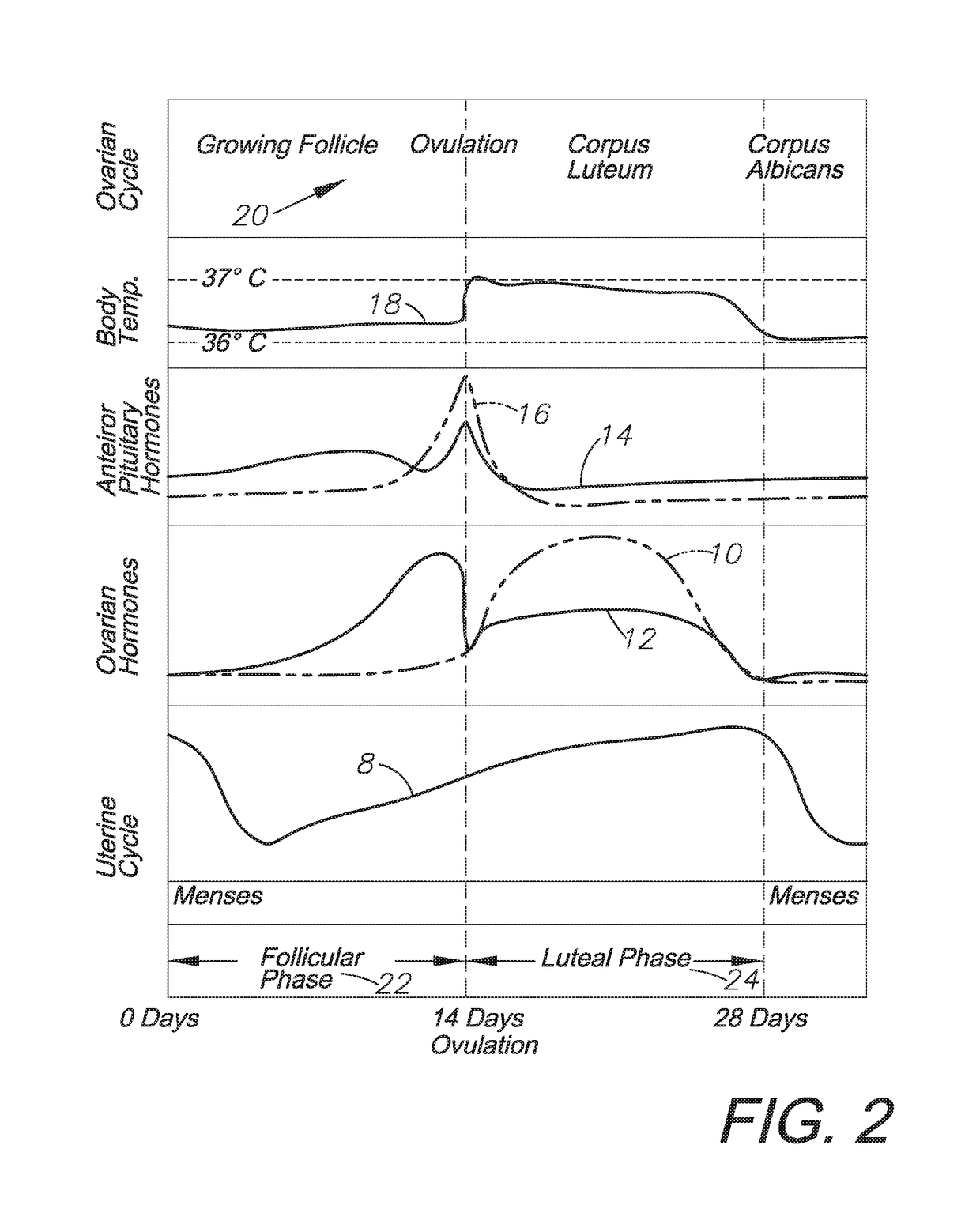 Hormone delivery system and method