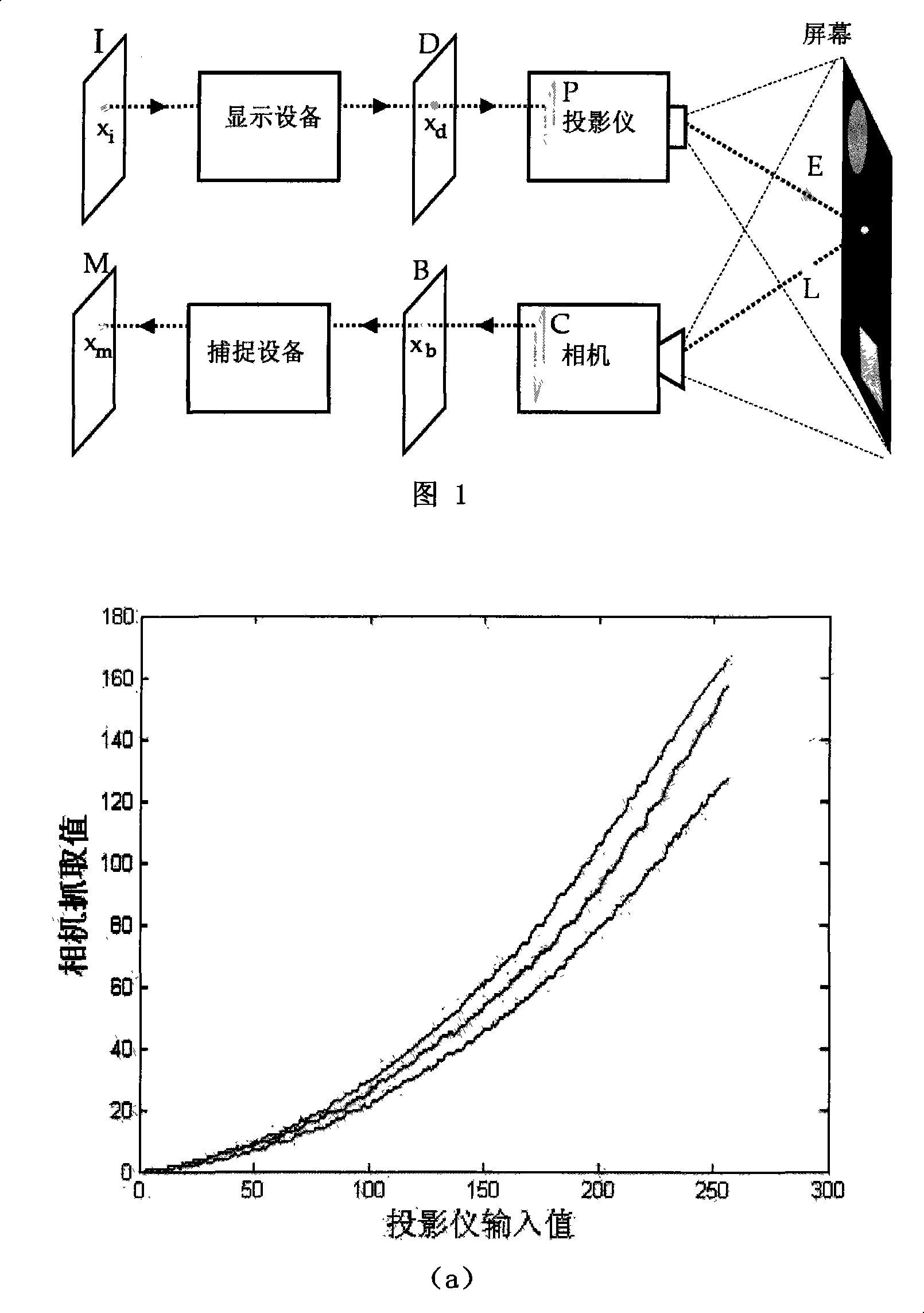 Method for performing projection display on veins plane