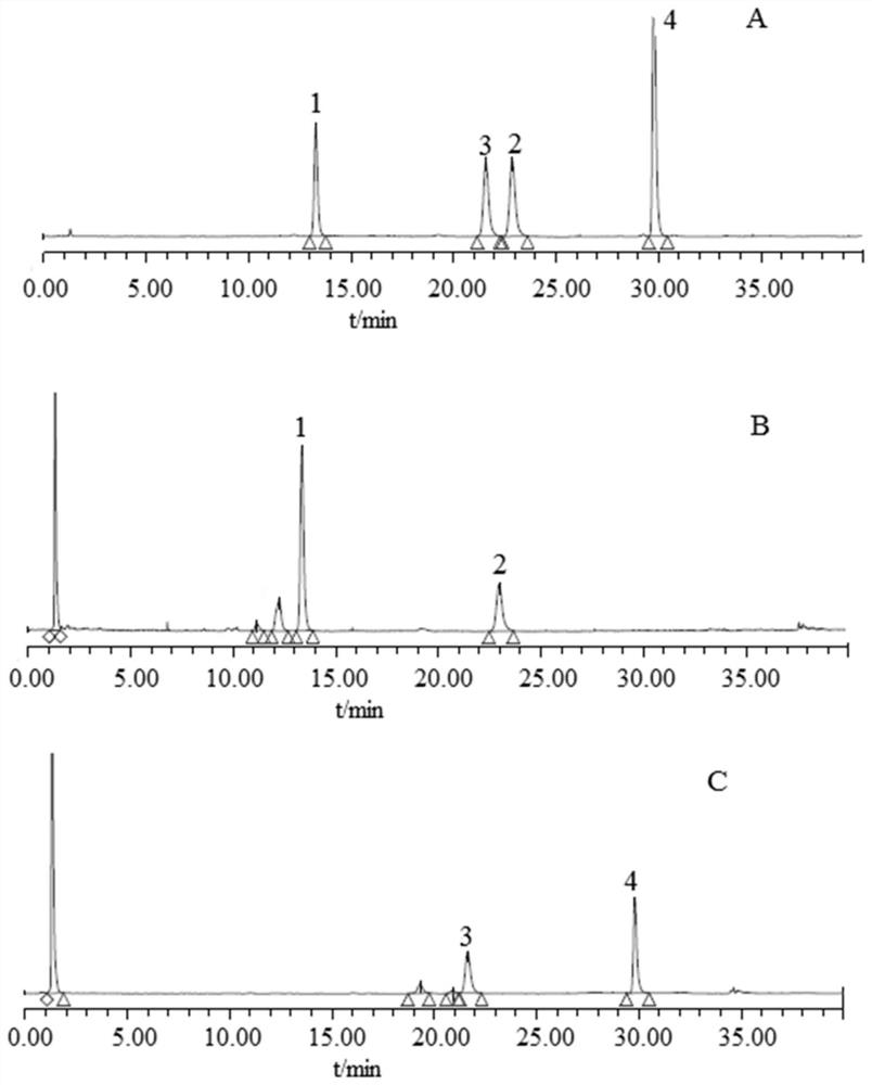 A method for distinguishing fermented dannanxing processed from pig bile and mixed steamed dannanxing