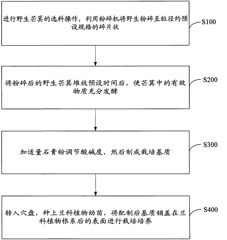 Method for cultivating orchid plant by using dicranopteris