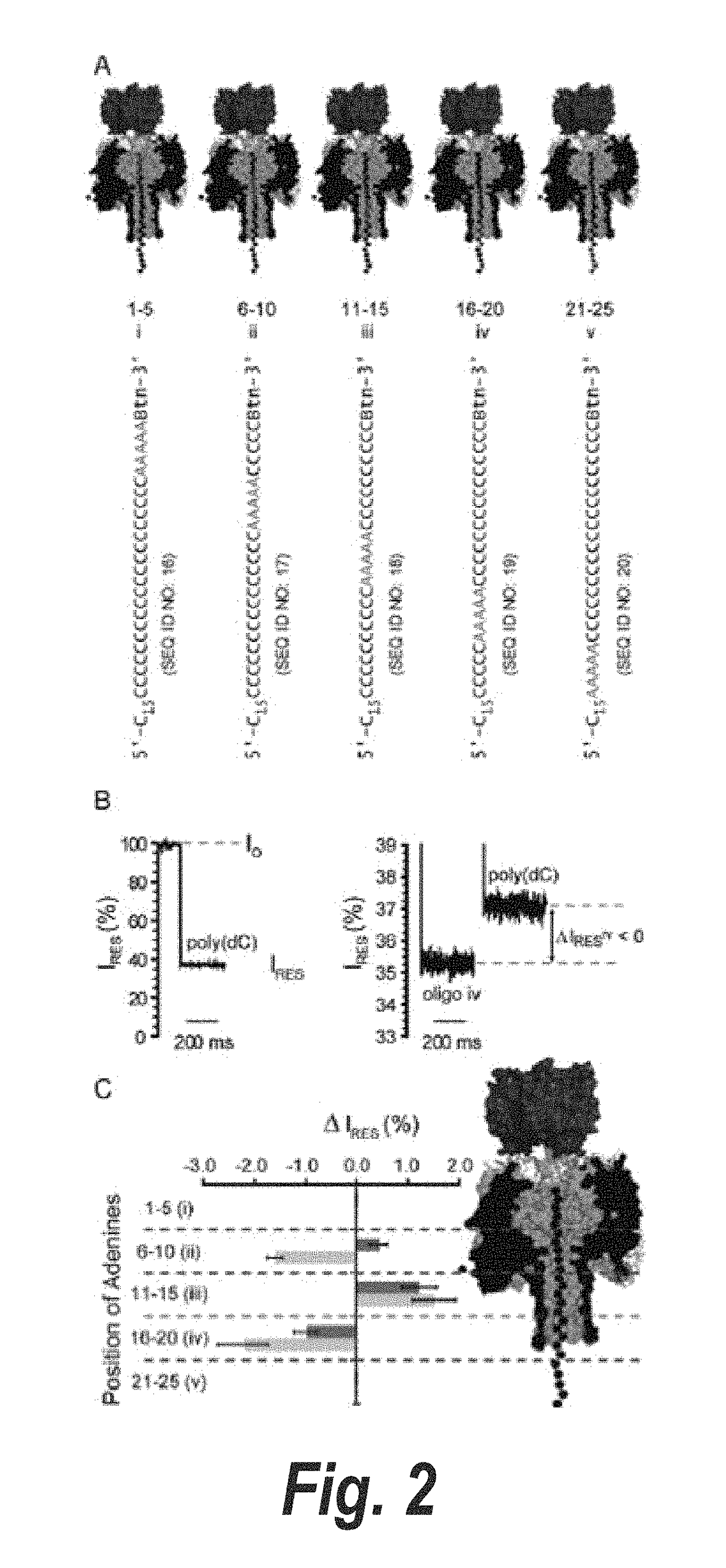 Method for sequencing a heteropolymeric target nucleic acid sequence