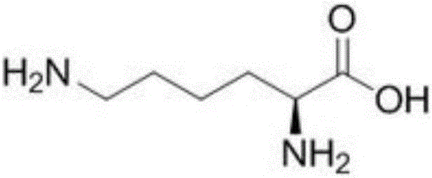 Sugar-free zinc lysine granule composition and preparation method