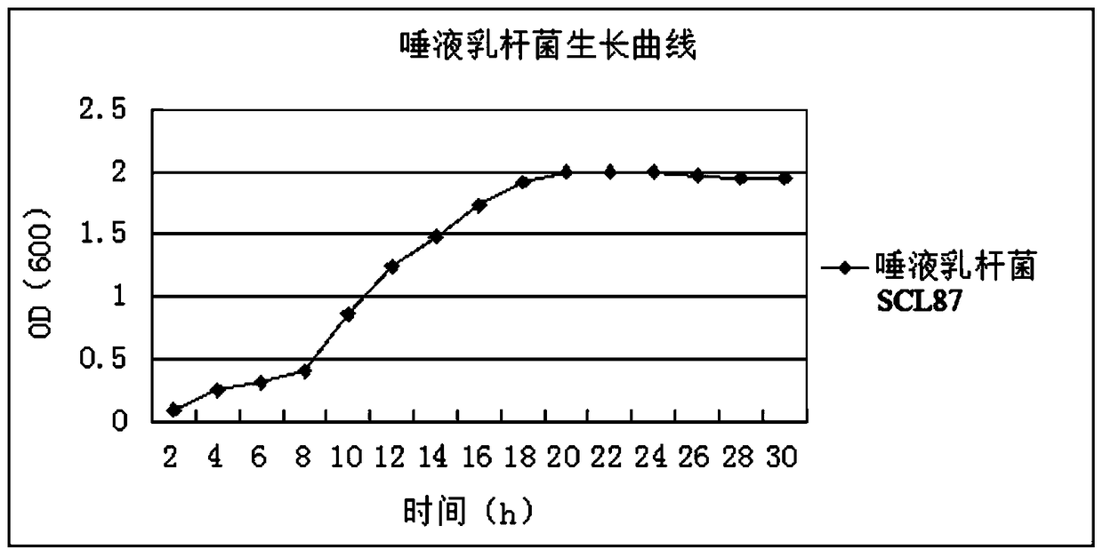 A kind of Lactobacillus salivarius inhibiting poultry pathogenic Salmonella and its application