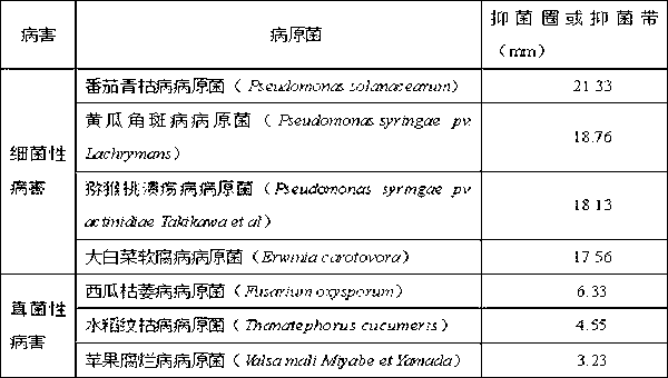 Bacillus amyloliquefaciens K-8 and bactericide thereof
