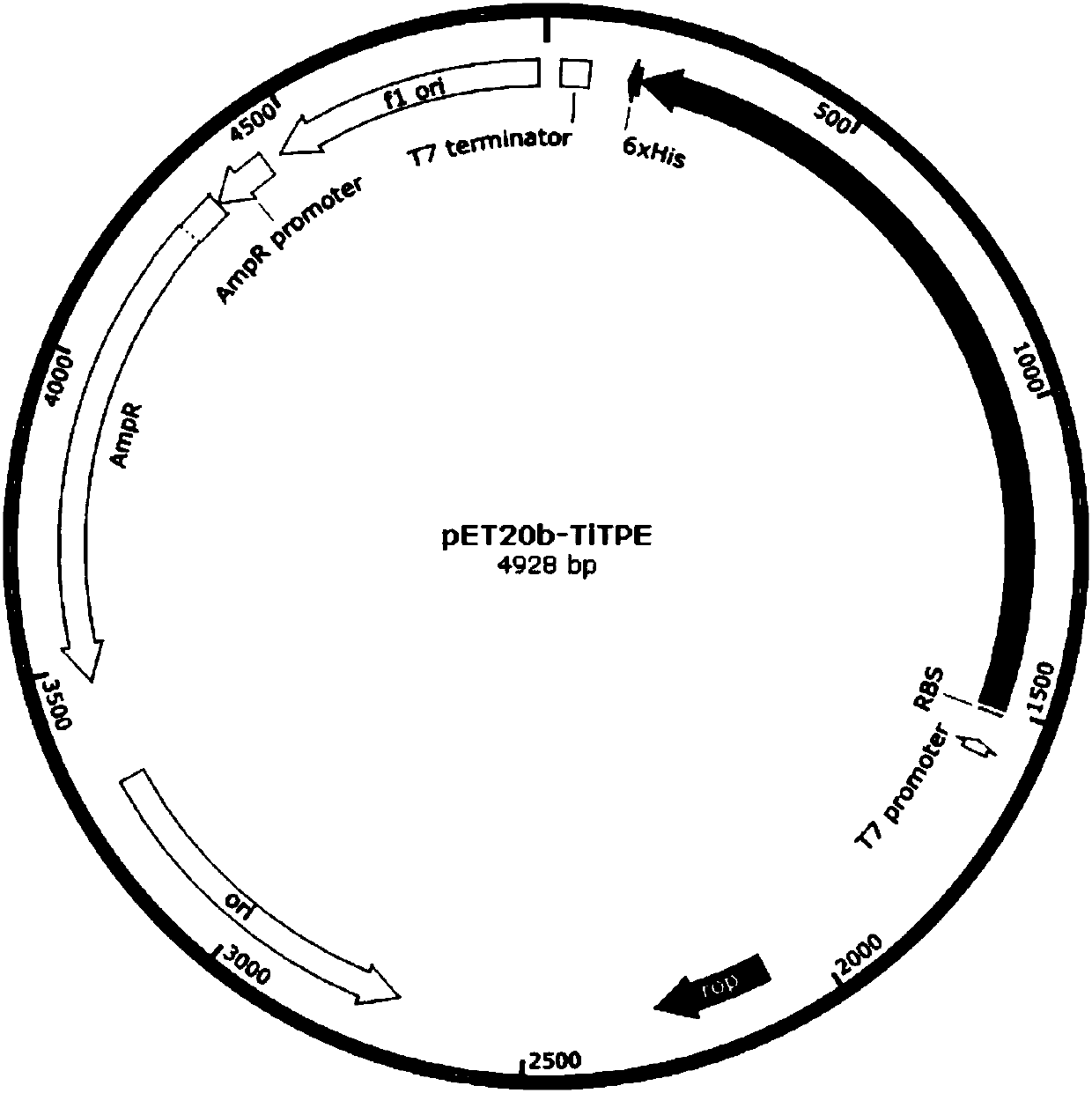 Novel tagatose 6-phosphate 4-locus epimerase and application thereof