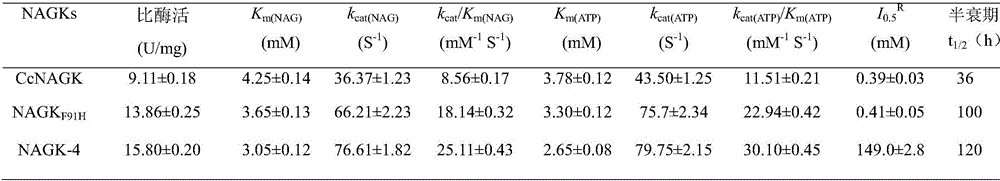 N-acetyl glutamic acid kinase mutant and application thereof