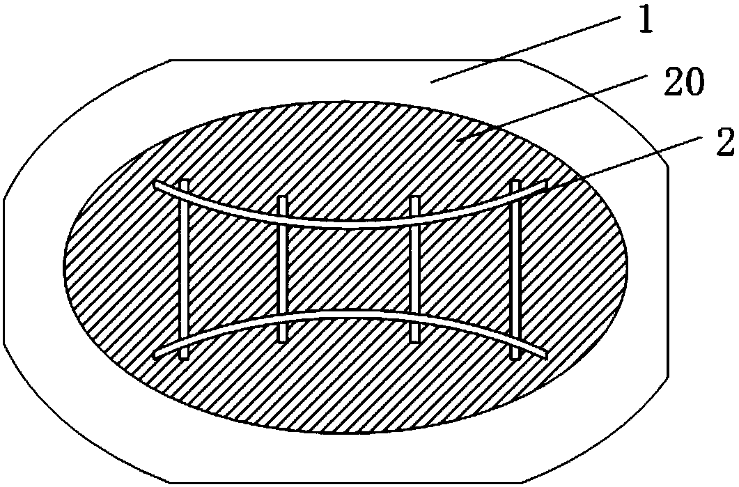 Head nursing device and system