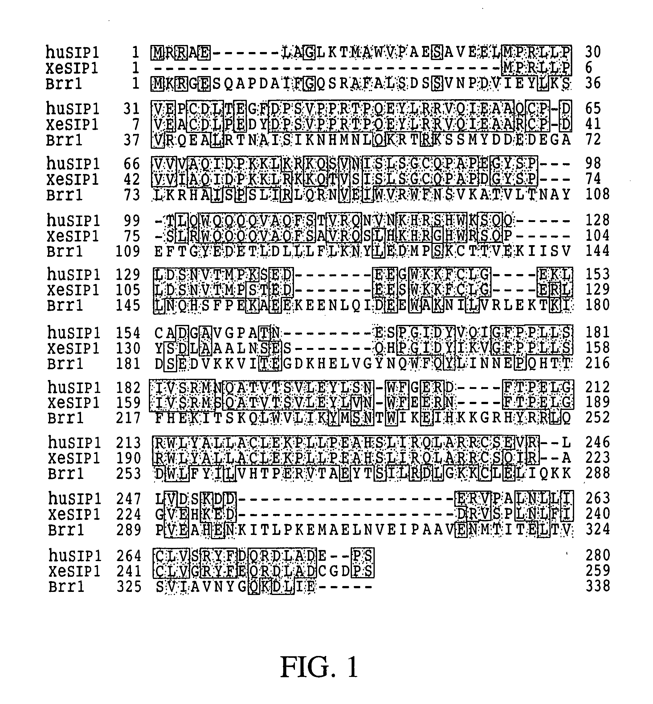 Compositions, methods, and kits useful for the diagnosis and treatment of spinal muscular atrophy