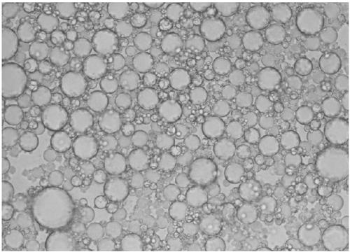 Low-viscosity and low-friction emulsified acid, method for preparing same and application of low-viscosity and low-friction emulsified acid