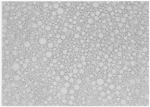 Low-viscosity and low-friction emulsified acid, method for preparing same and application of low-viscosity and low-friction emulsified acid