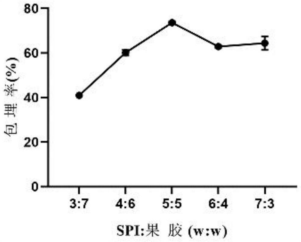 Colla corii asini peptide-iron chelate microcapsule and preparation method thereof