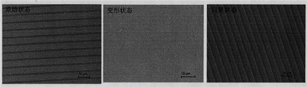 Controllable-optical-property shape-memory polymer film and preparation method thereof