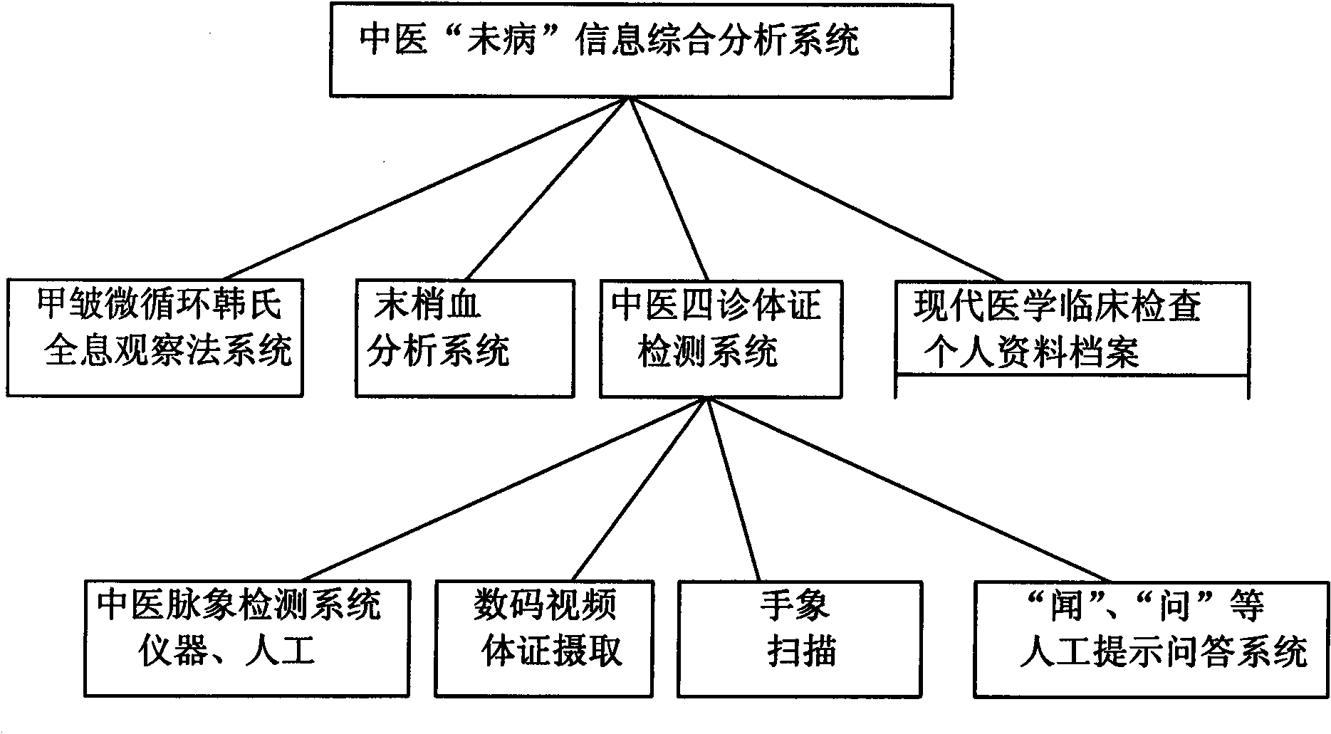 Potential disease information comprehensive analysis system of modern traditional Chinese medicine