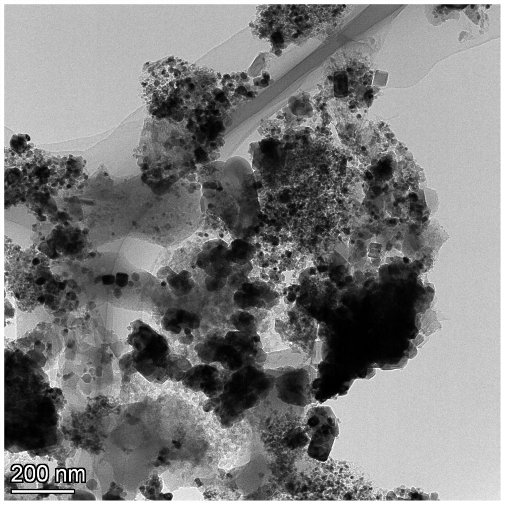 Preparation and application of magnetic microbial carbon-loaded cerium and cobalt composite nano ozone catalyst