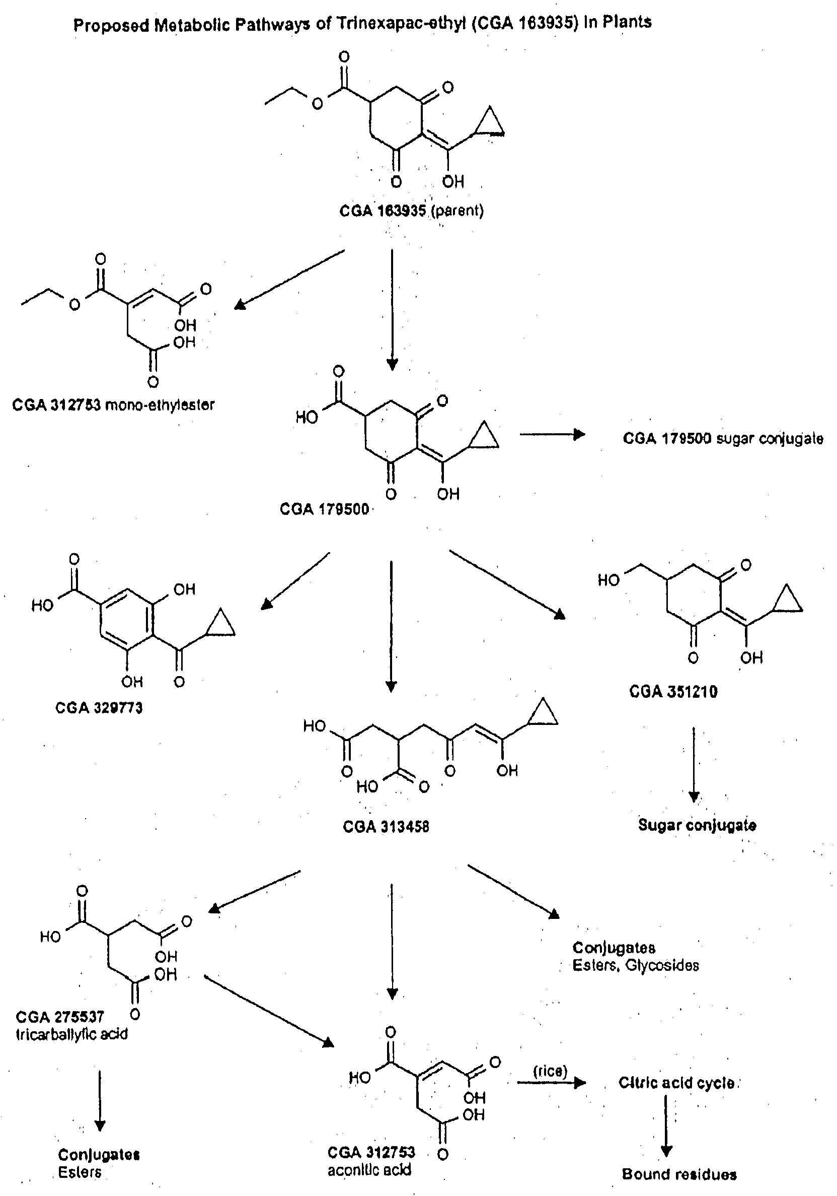 Method of Altering the Alkaloid Composition in Poppy Plants