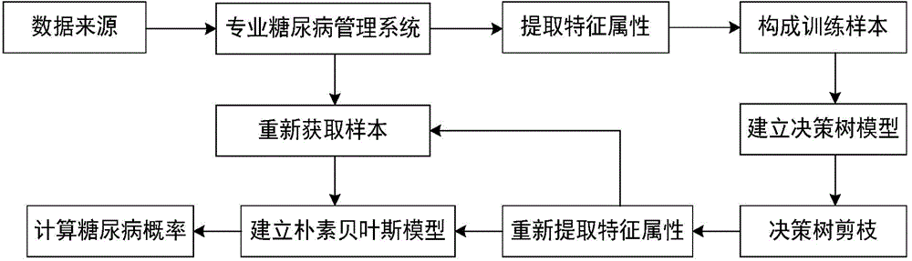 Diabetes mellitus probability calculation method based on large data of diabetes mellitus system