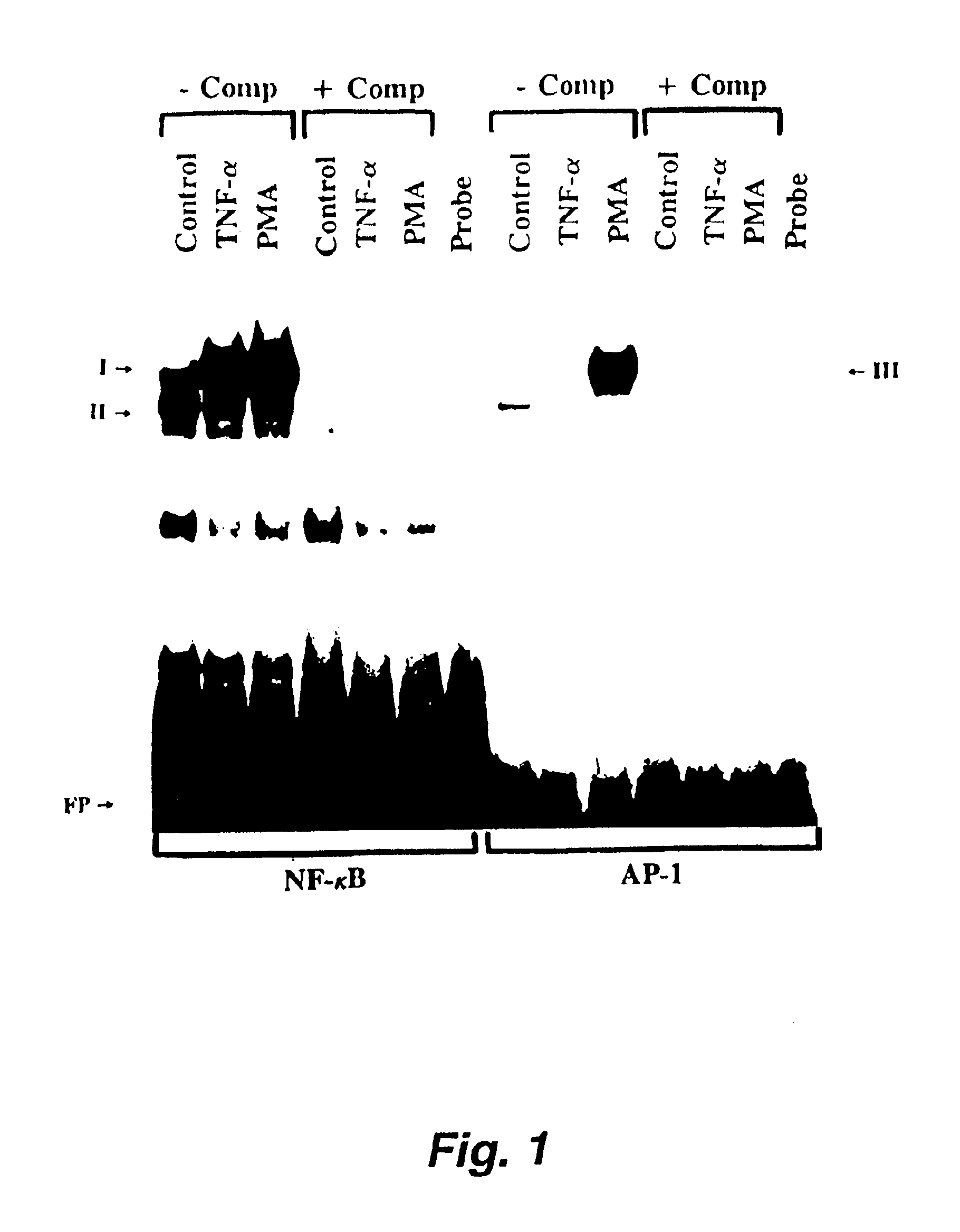 Methods for simultaneous isolation of biologically active transcription factors and DNA