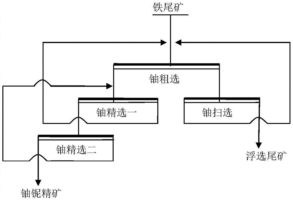 Beneficiation process of polymetallic ore containing betafite