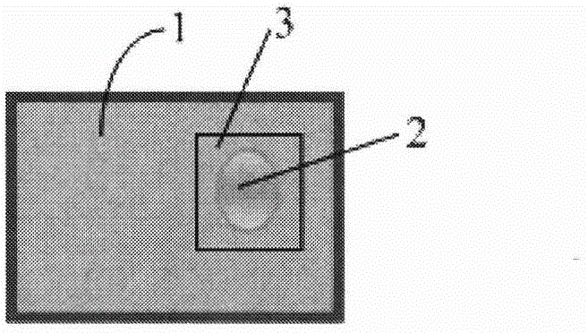 Advertisement pushing method and device based on video picture