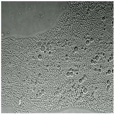 Nanometer emulsion discharge aiding agent for irregular gas reservoir fracturing and preparation method thereof