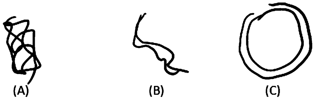 A kind of endonuclease mus81 detection kit and its detection method and application