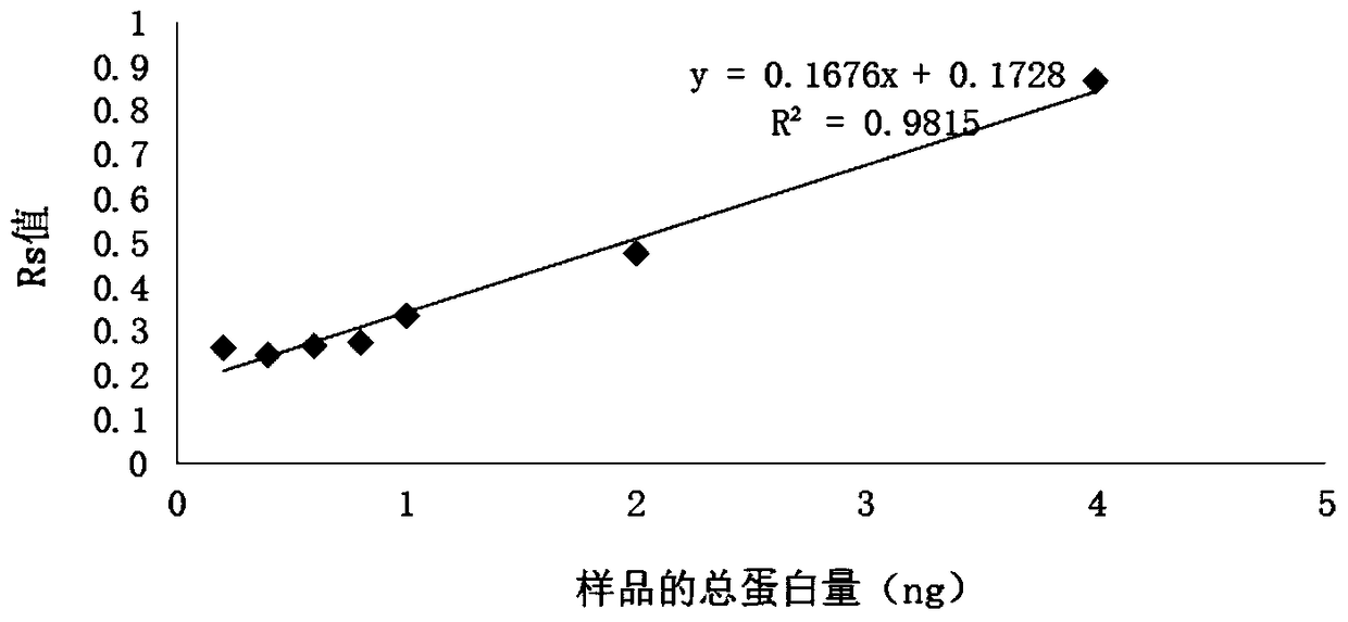 A kind of endonuclease mus81 detection kit and its detection method and application