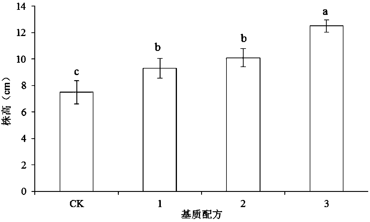 Seedling-raising compound substrate special for psathyrostachy huashanica Keng and preparation method thereof