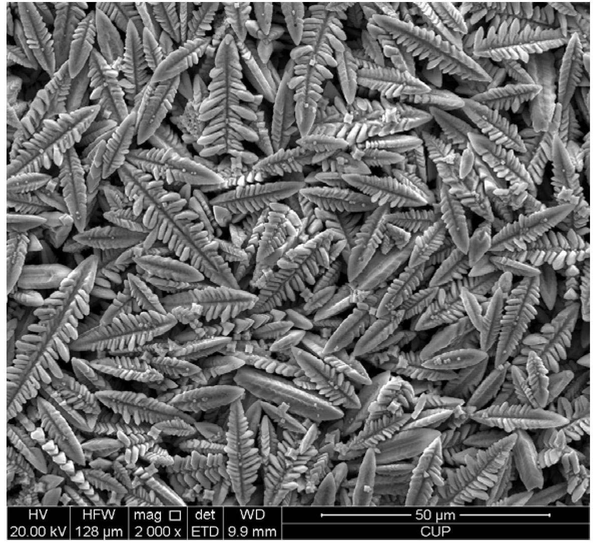 Preparation method for leaf-shaped silver chloride particle with micron structure