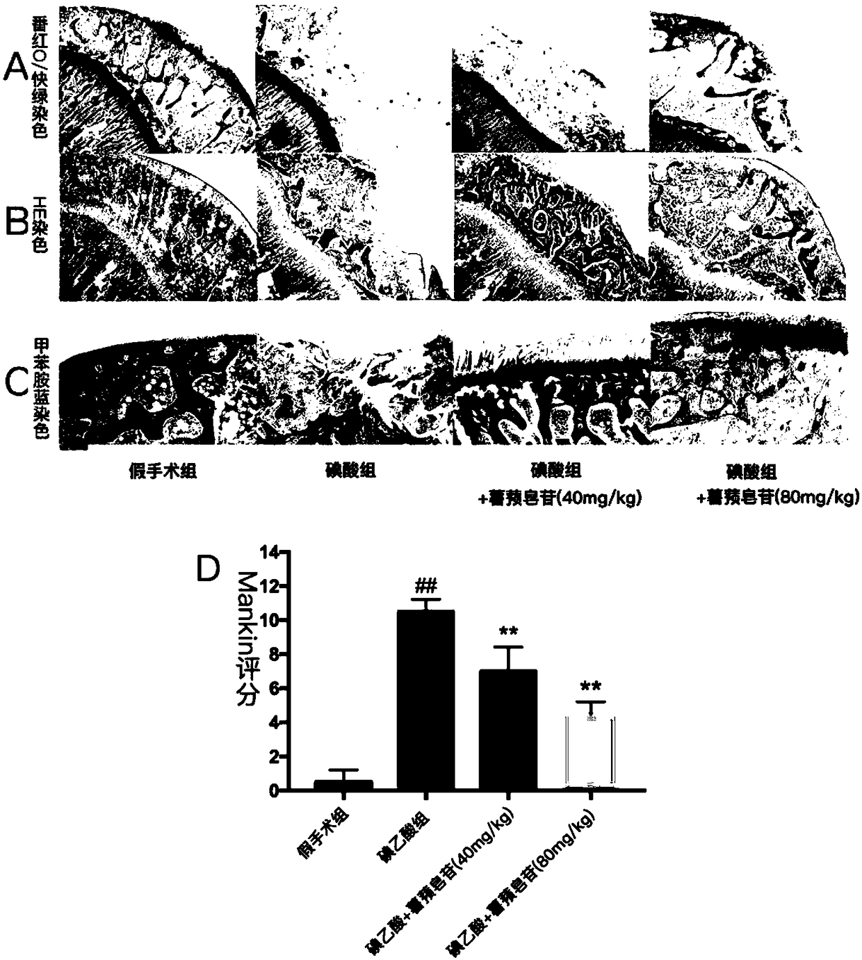 Application of dioscin in preparation of drugs for inhibiting osteoarthritis