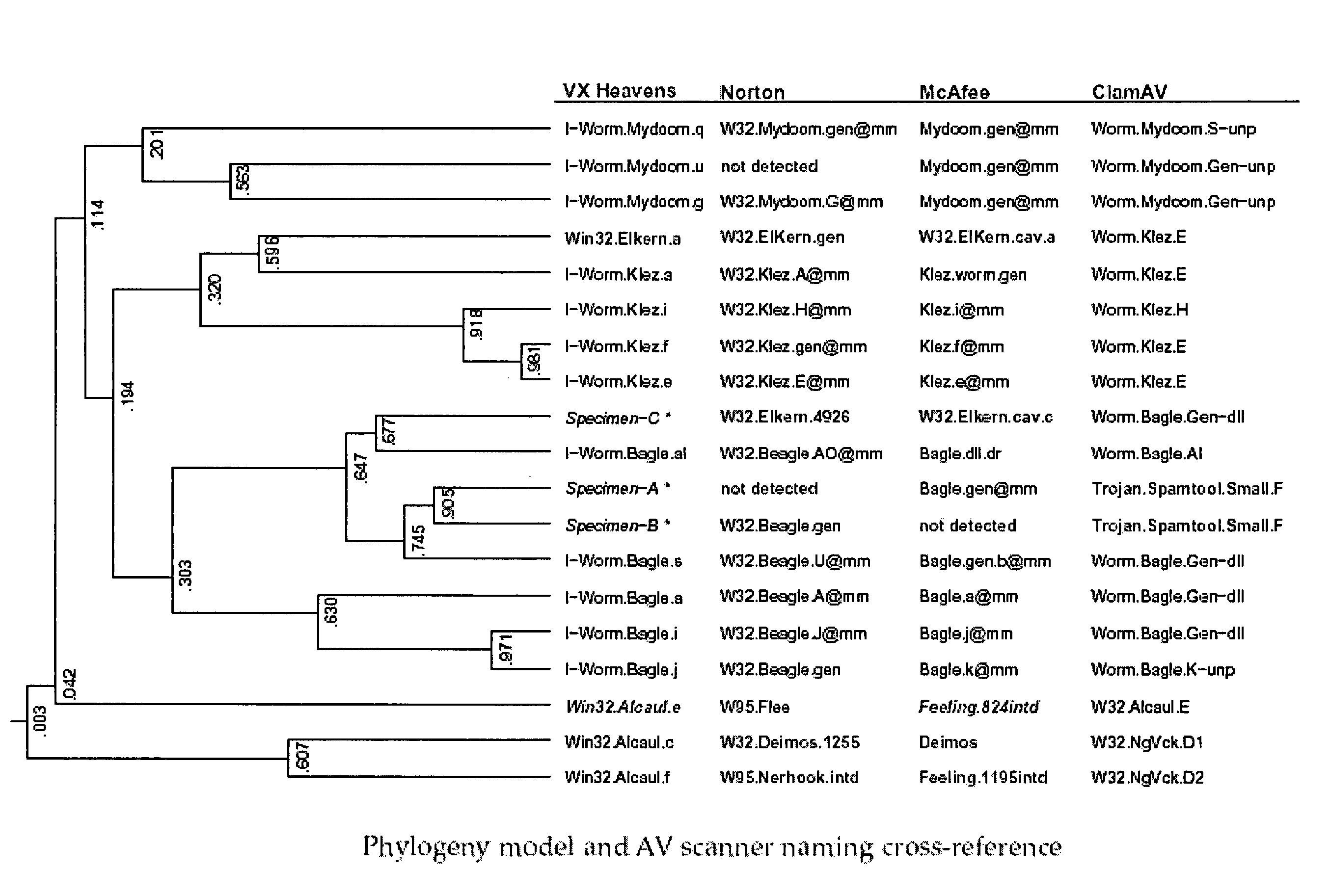 Phylogeny generation