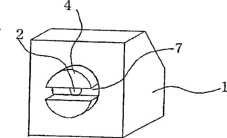 Aerosol of percutaneous medicament